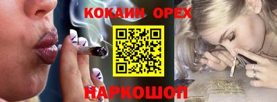 сатива Сланцы