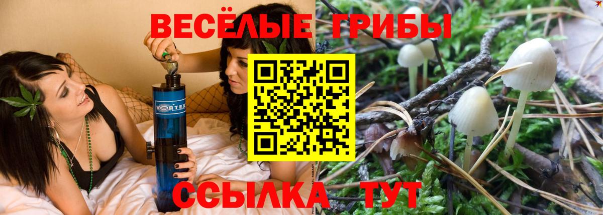 Галлюциногенные грибы Psilocybine cubensis Сунжа